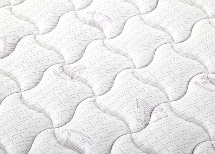 13cfaea644976116b6912269c17e2ad6